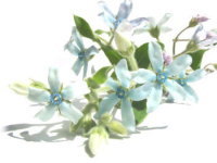 豪華なくつろぎのひと時