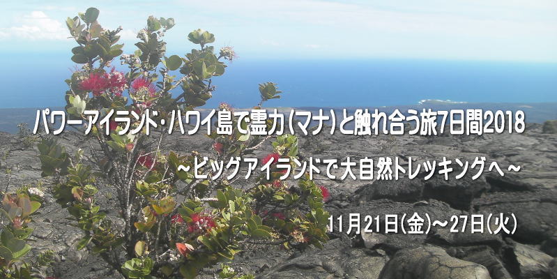 パワーアイランド・ハワイ島で霊力（マナ）と触れ合う旅7日間2018