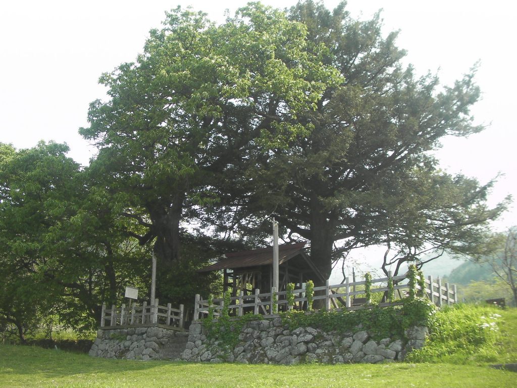 諏訪信仰の謎を探る2日間16 ミシャクジ神とタケミナカタノカミ 物部守屋神社と守屋山登拝 スピリチュアル旅行の道標 諏訪信仰の謎を探る2日間16 ミシャクジ神とタケミナカタノカミ 物部守屋神社と守屋山登拝 スピリチュアル旅行の道標