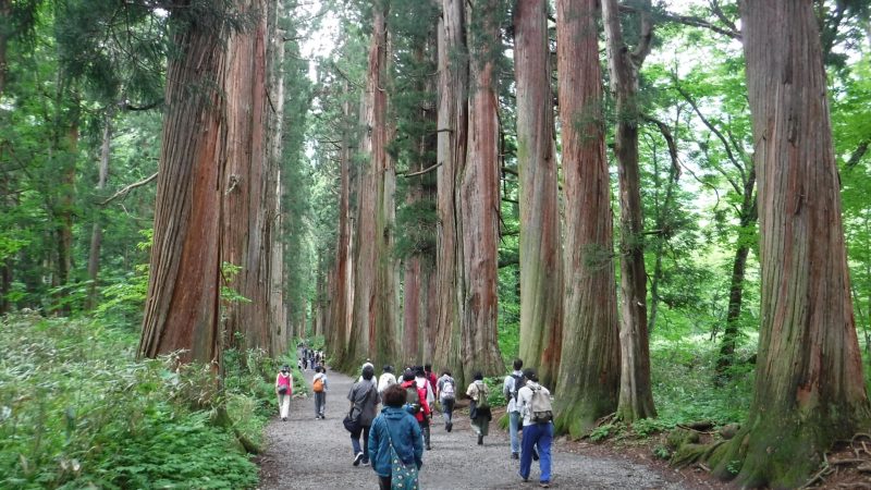 戸隠神社式年大祭 7年に一度の神仏のと出会い スピリチュアル旅行の道標 戸隠神社式年大祭 7年に一度の神仏のと出会い スピリチュアル旅行の道標